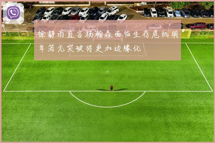 徐静雨直言杨瀚森面临生存危机明年若无突破将更加边缘化